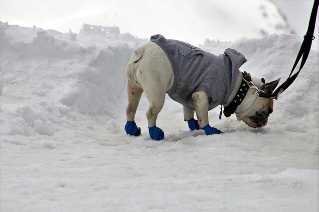 Fashionable jacket instead of fur