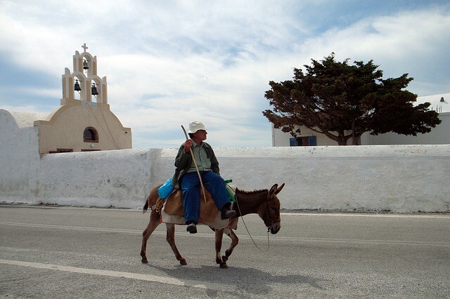 They agreed, donkeys could not break