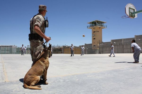 Four-legged employee in prison