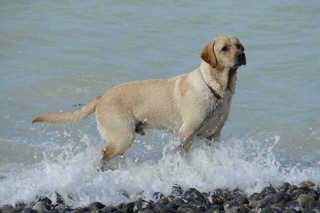 He lived an icy and wet adventure, though he hadn't planned it