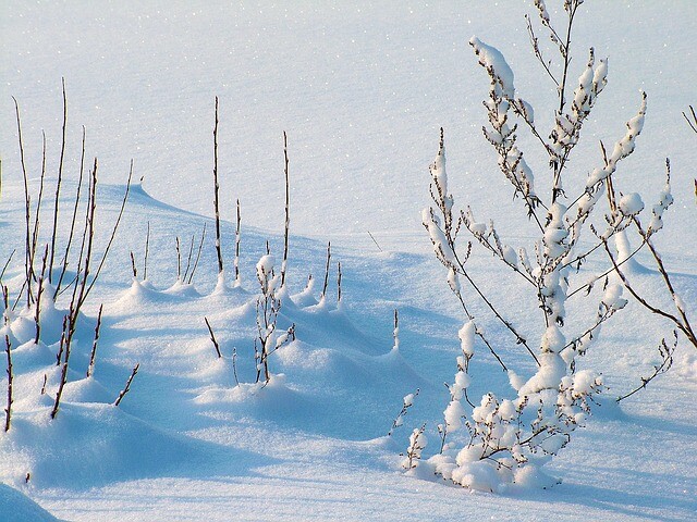 Snowfall is a bit different