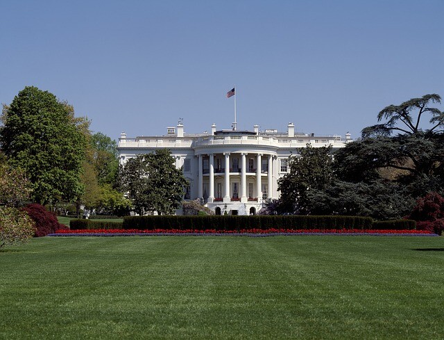 Two new dogs from the White House