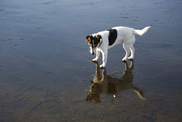 They did an icy walk, but it wasn’t planned that way