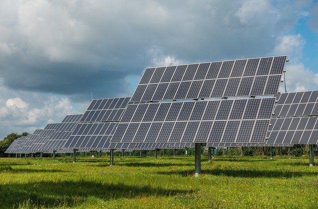 Bird-killing solar panels