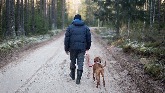 Selfless dog walking