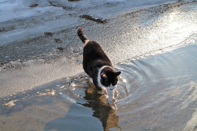 It's time to take a bath!