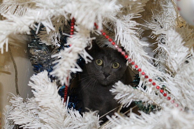 Cat-proof Christmas tree